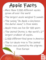 Apple Crunch Fact Sheet Poster