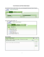 Crucial Concerns Report Tutorial