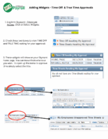 Widget Instructions